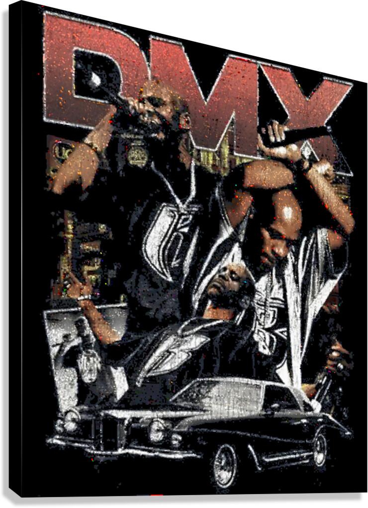 DMX 7 Canvas Print