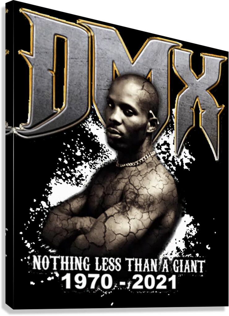 DMX 8 Canvas Print