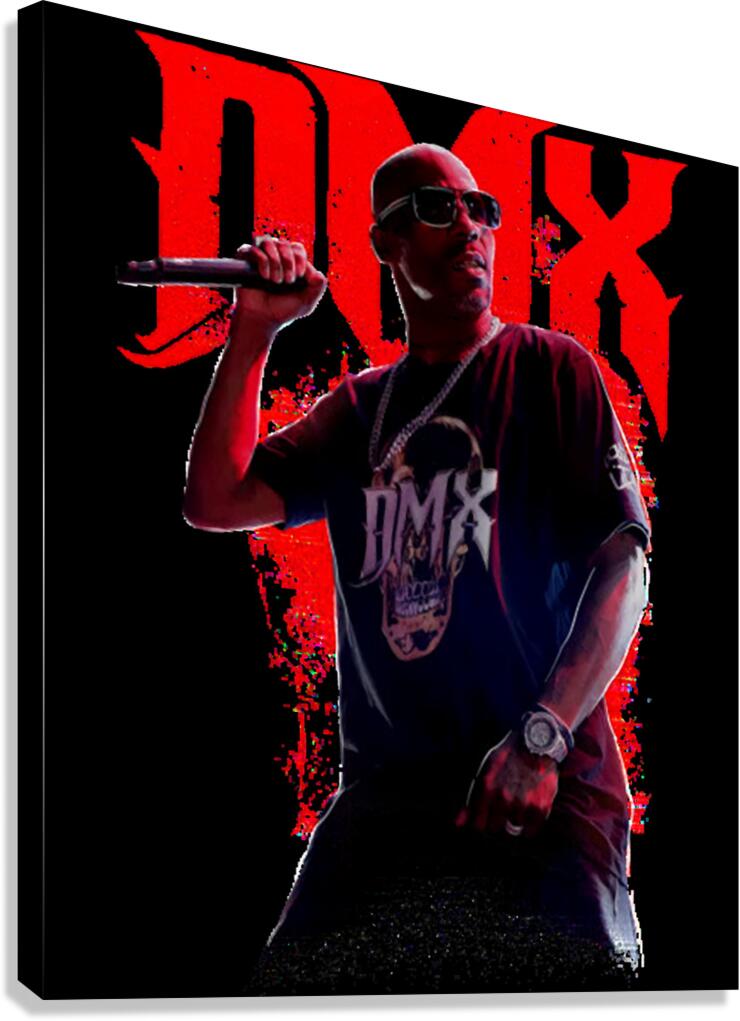 DMX 9 Canvas Print