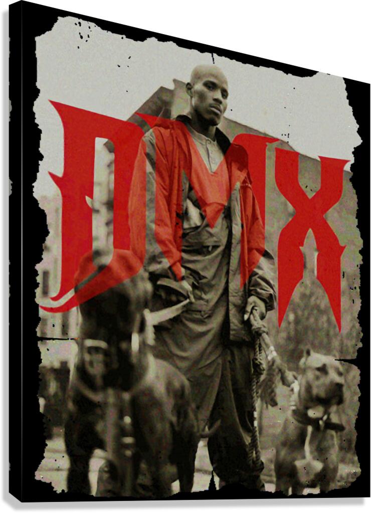 DMX 10 Canvas Print