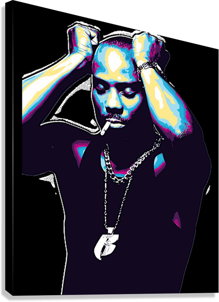 DMX 11 Canvas Print