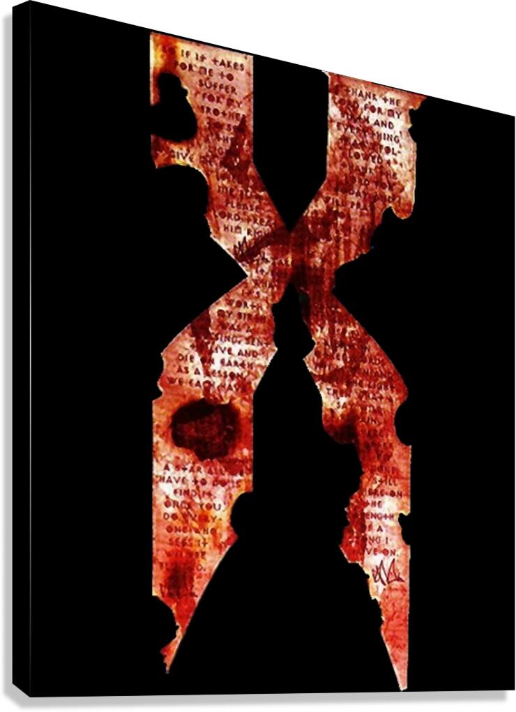 DMX 12 Canvas Print