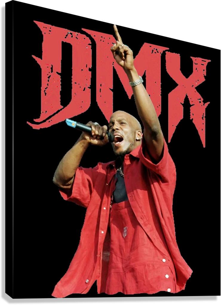 DMX 13 Canvas Print