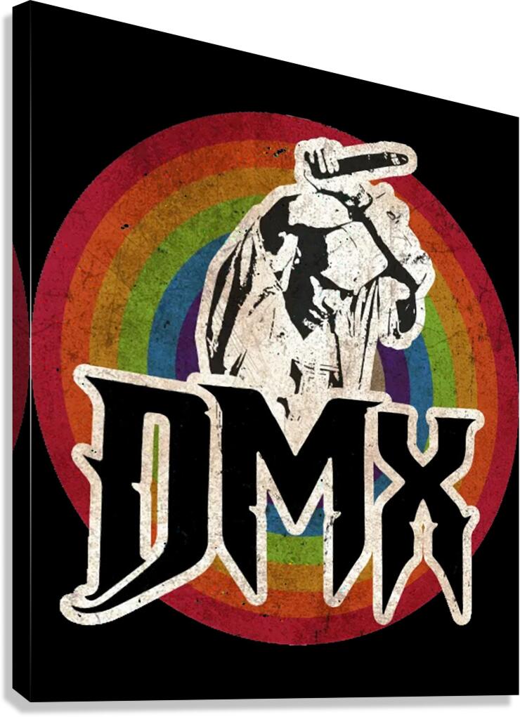DMX 15 Canvas Print