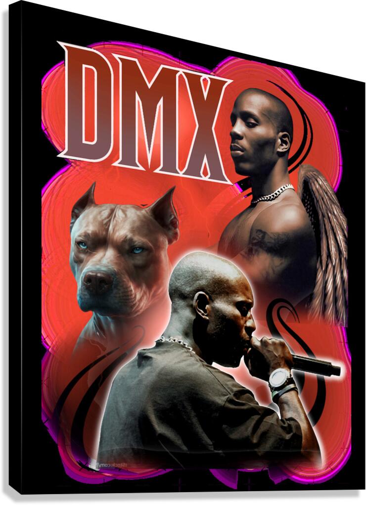 DMX 17 Canvas Print