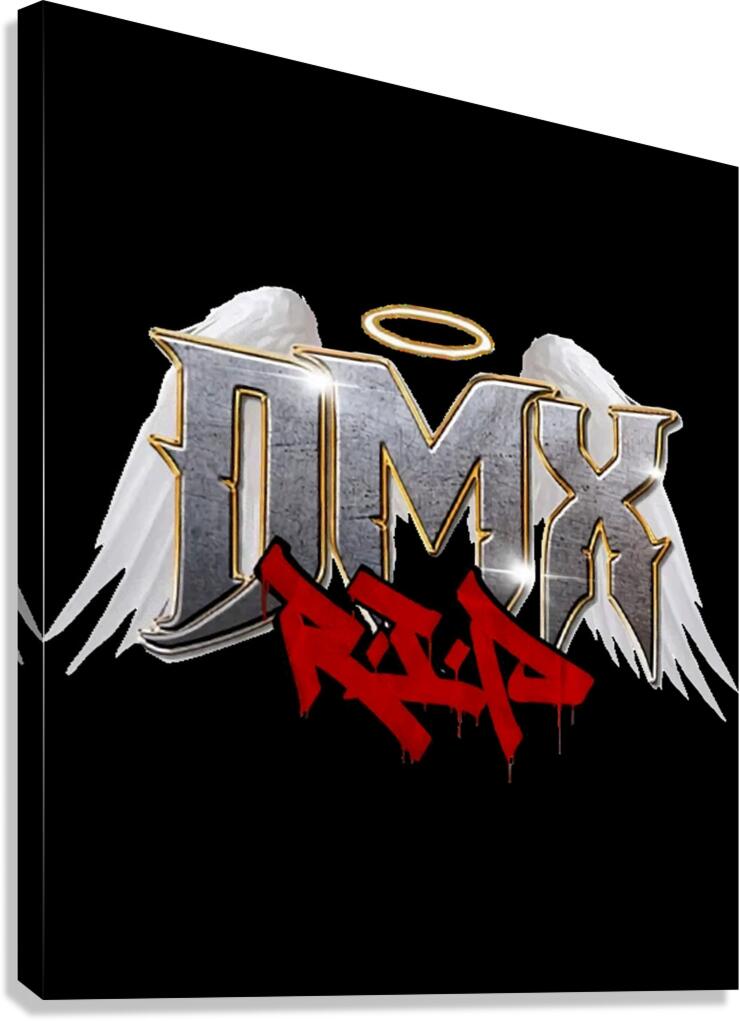 DMX 18 Canvas Print