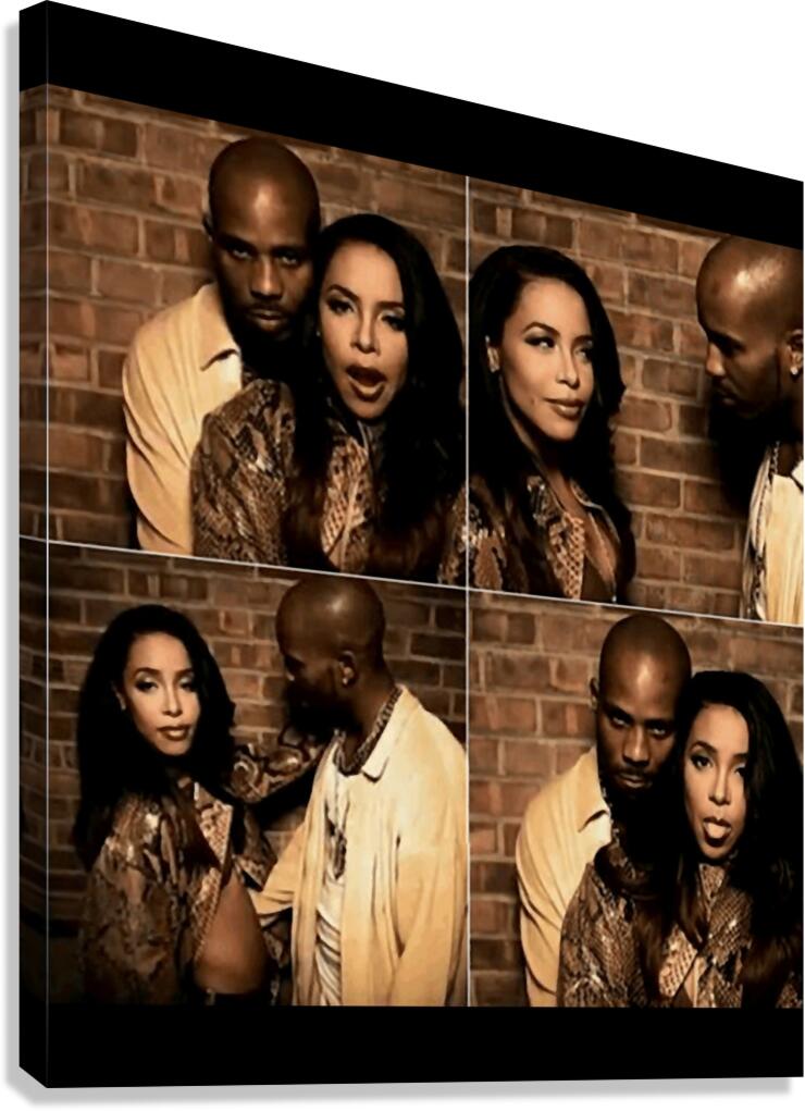 DMX 19 Canvas Print