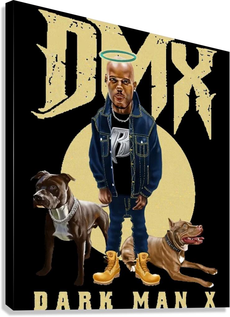DMX 21 Canvas Print