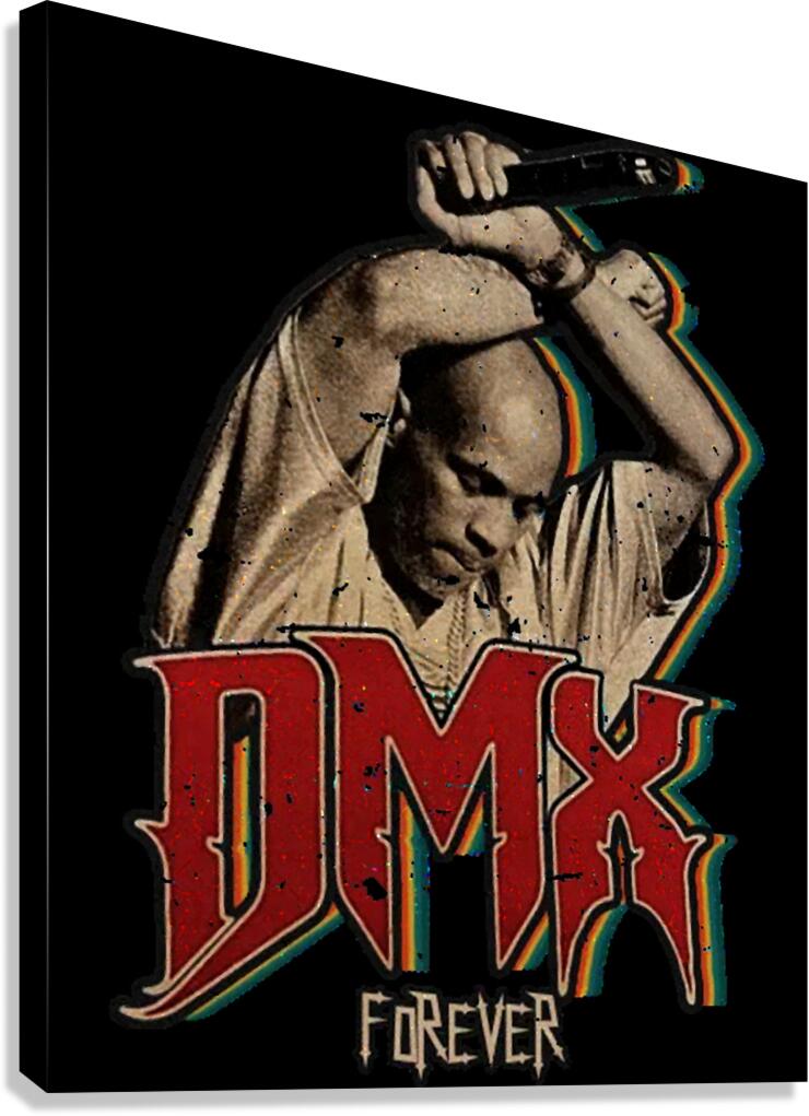 DMX 24 Canvas Print