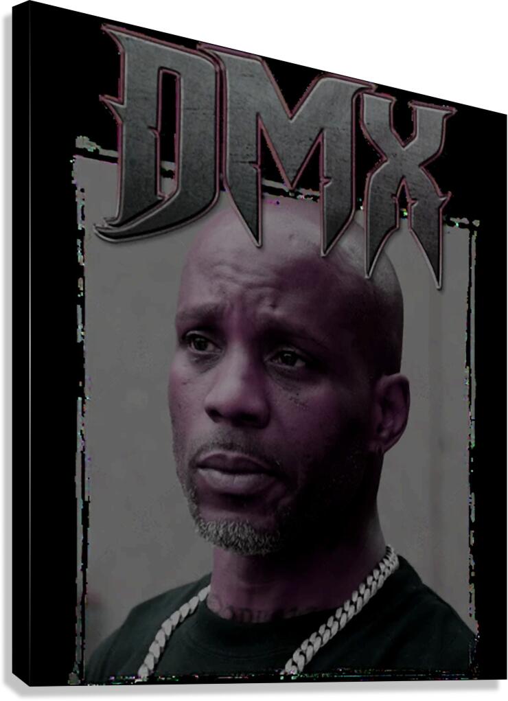 DMX 25 Canvas Print