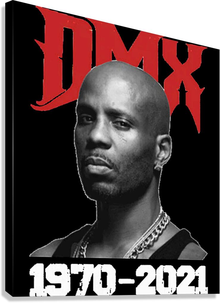 DMX 28 Canvas Print
