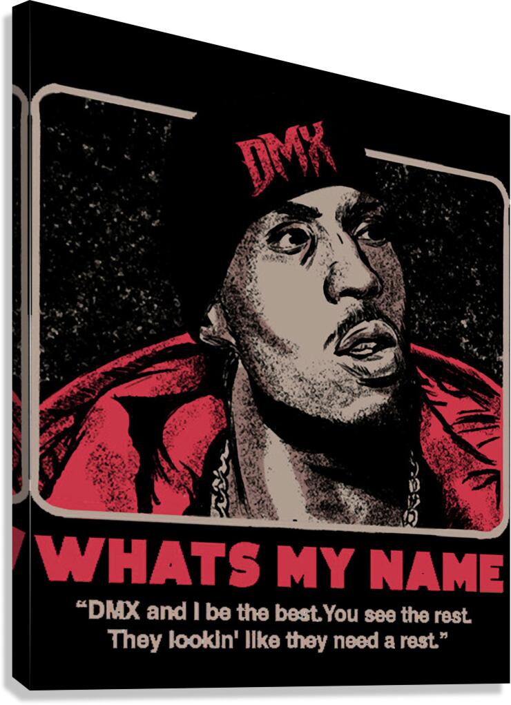 DMX 29 Canvas Print