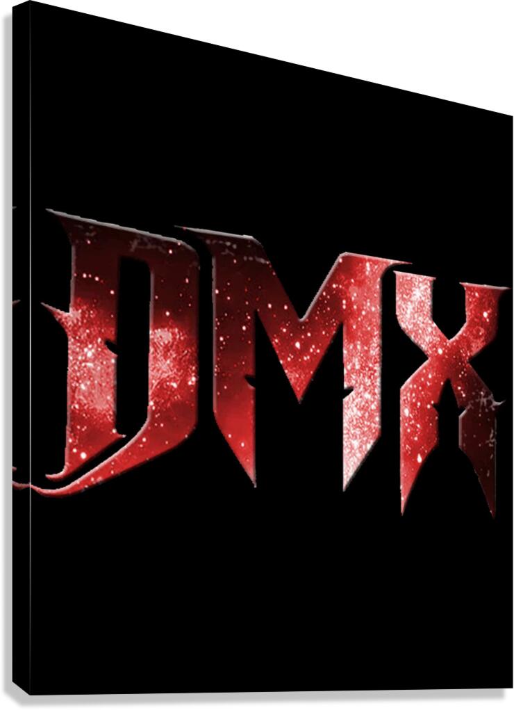 DMX 30 Canvas Print
