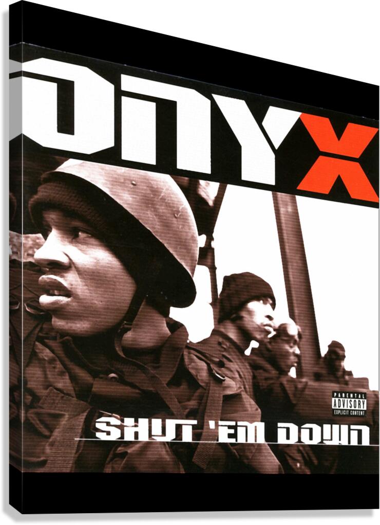 DMX 31 Canvas Print
