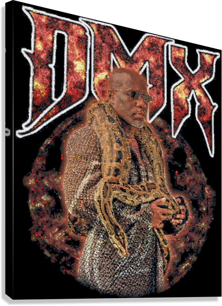 DMX 33 Canvas Print