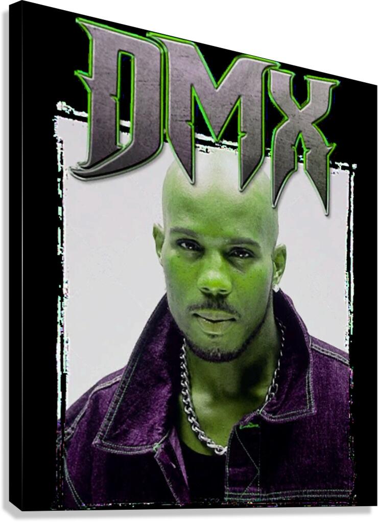 DMX 36 Canvas Print
