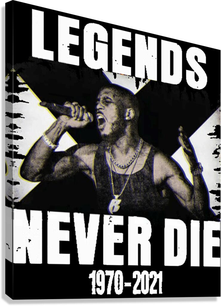 DMX 38 Canvas Print