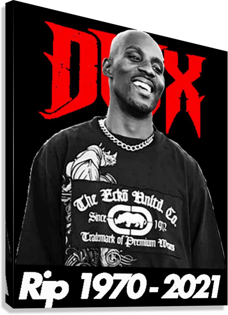 DMX 39 Canvas Print