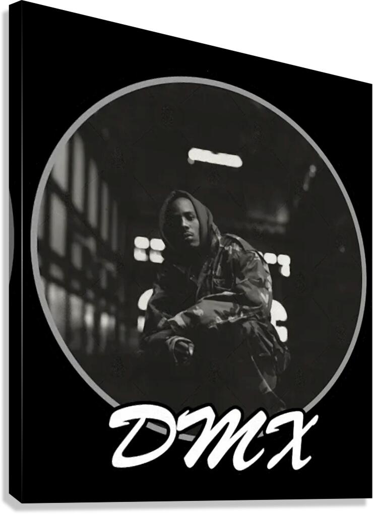 DMX 43 Canvas Print