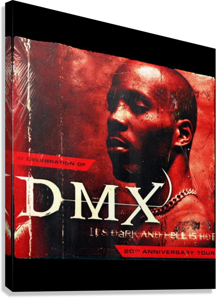 DMX 44 Canvas Print