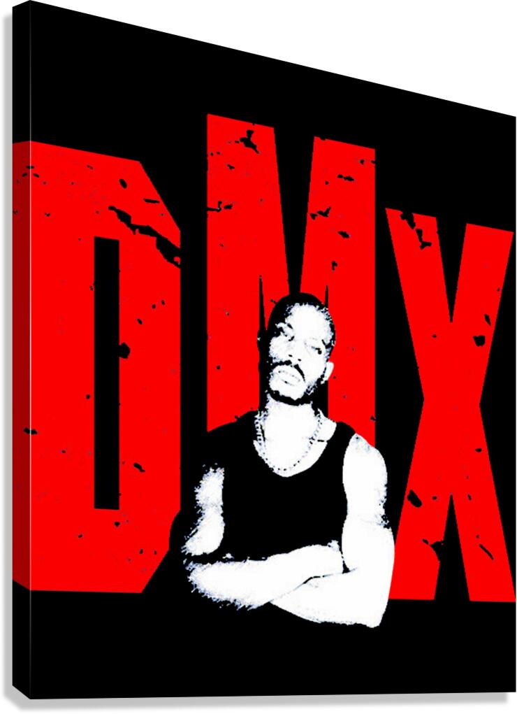 DMX 46 Canvas Print