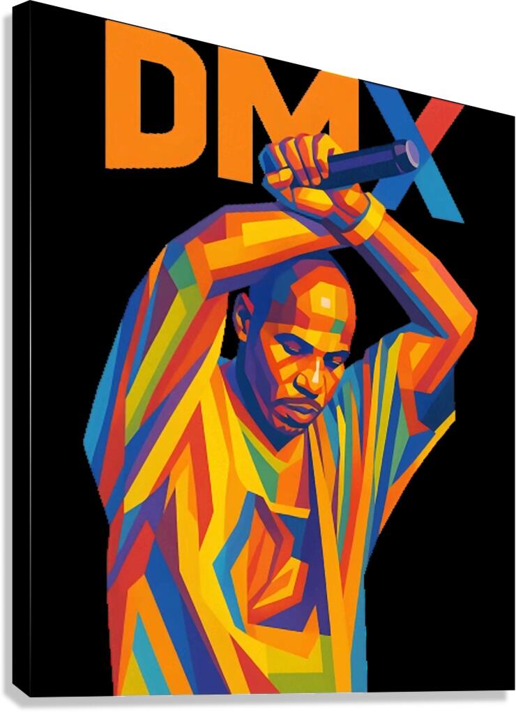 DMX 47 Canvas Print