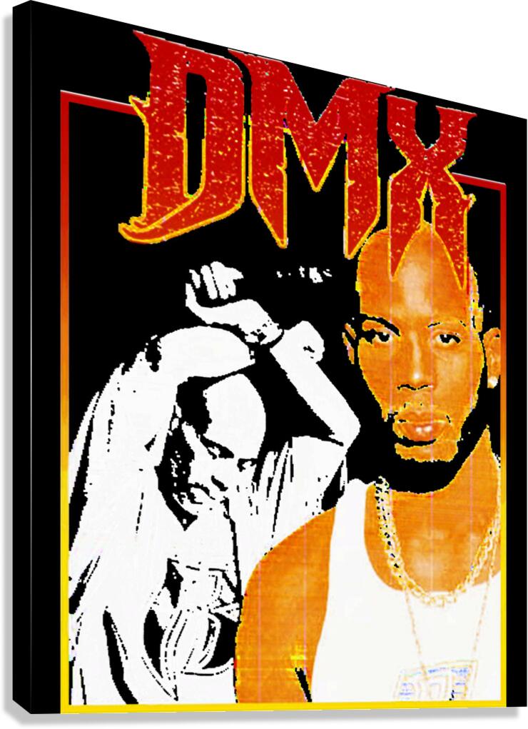 DMX 48 Canvas Print