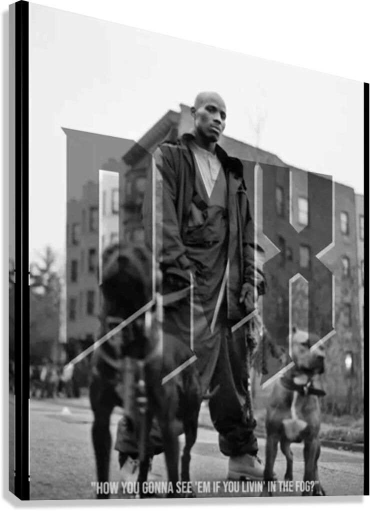 DMX 49 Canvas Print