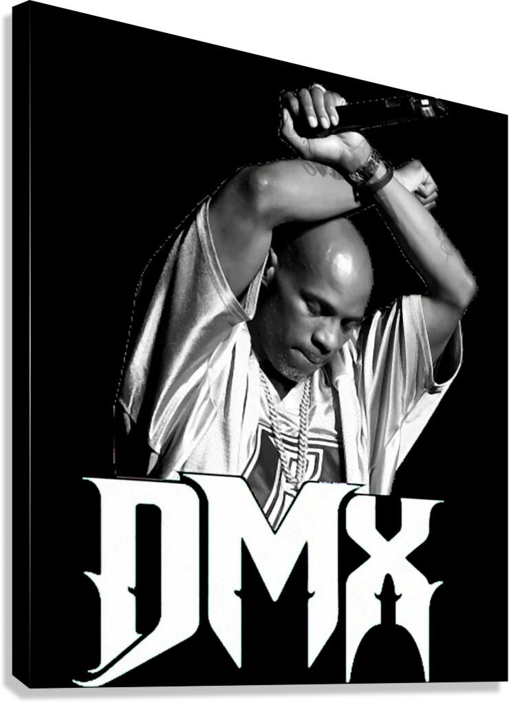 DMX 51 Canvas Print