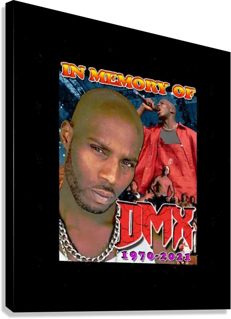DMX 52 Canvas Print
