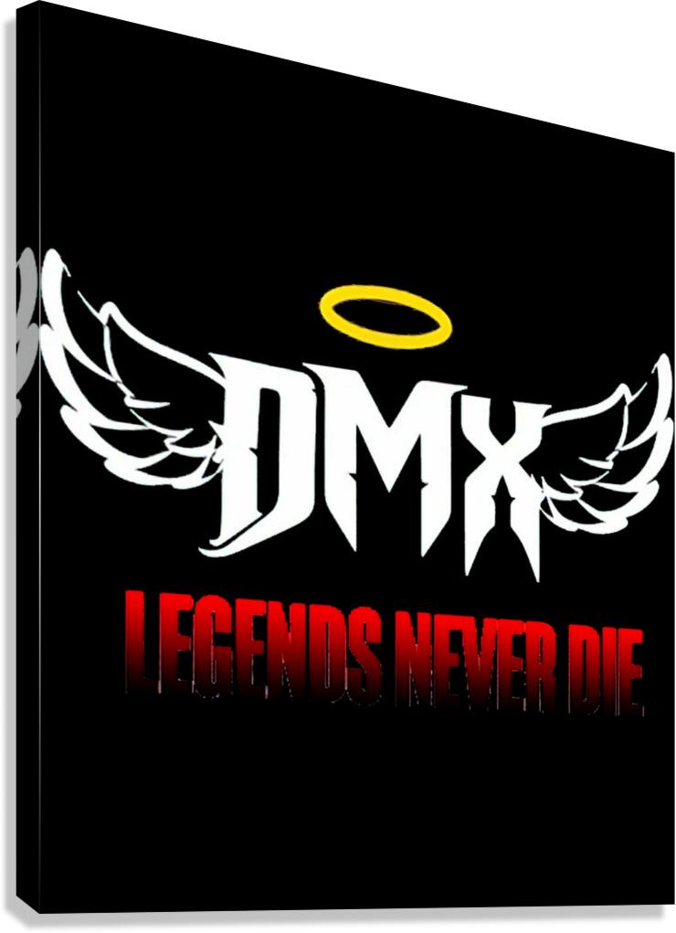 DMX 54 Canvas Print