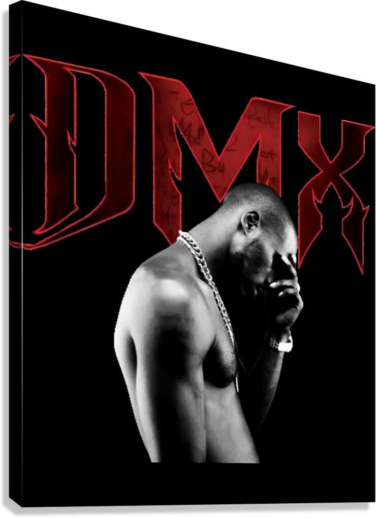 DMX 56 Canvas Print