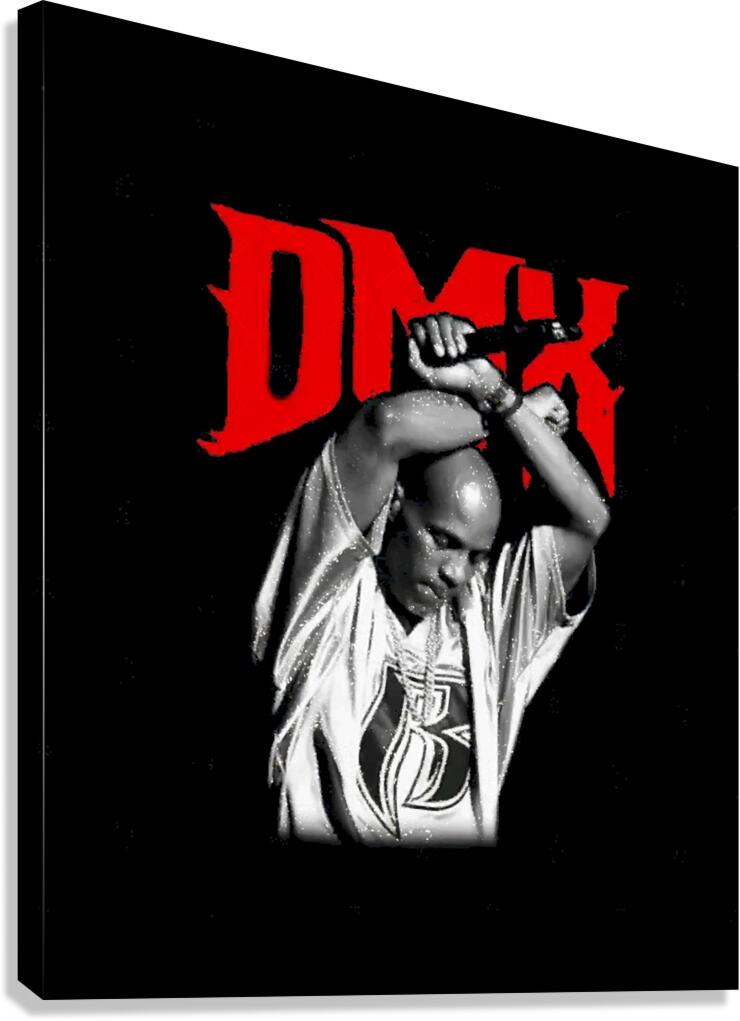 DMX 58 Canvas Print