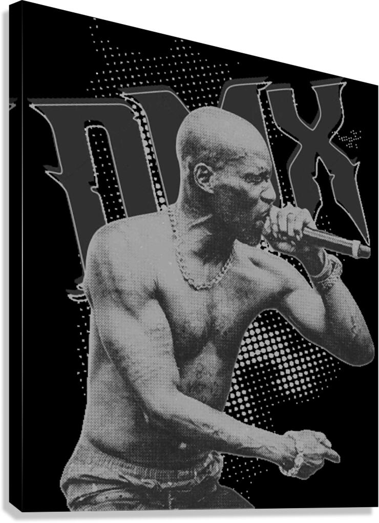 DMX 59 Canvas Print