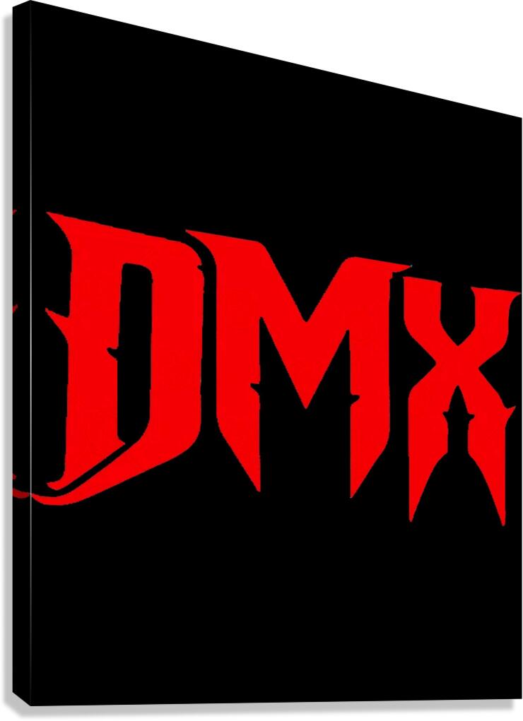 DMX 60 Canvas Print