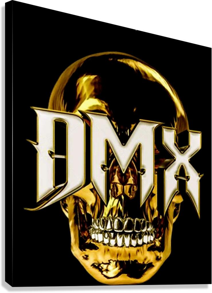 DMX 62 Canvas Print