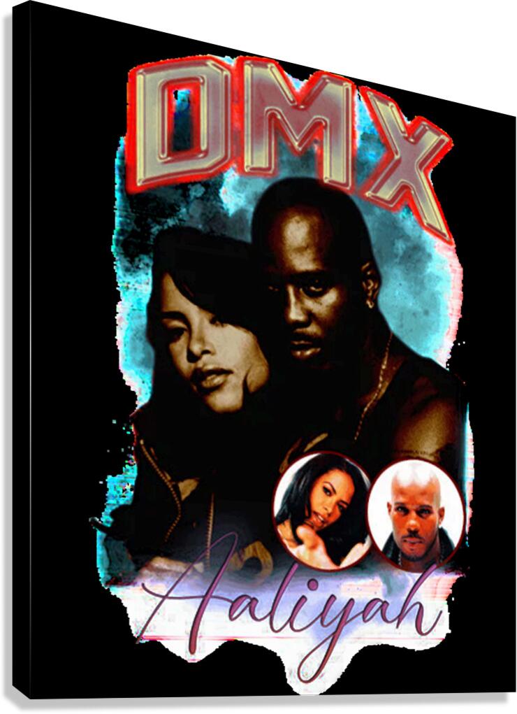 DMX 63 Canvas Print