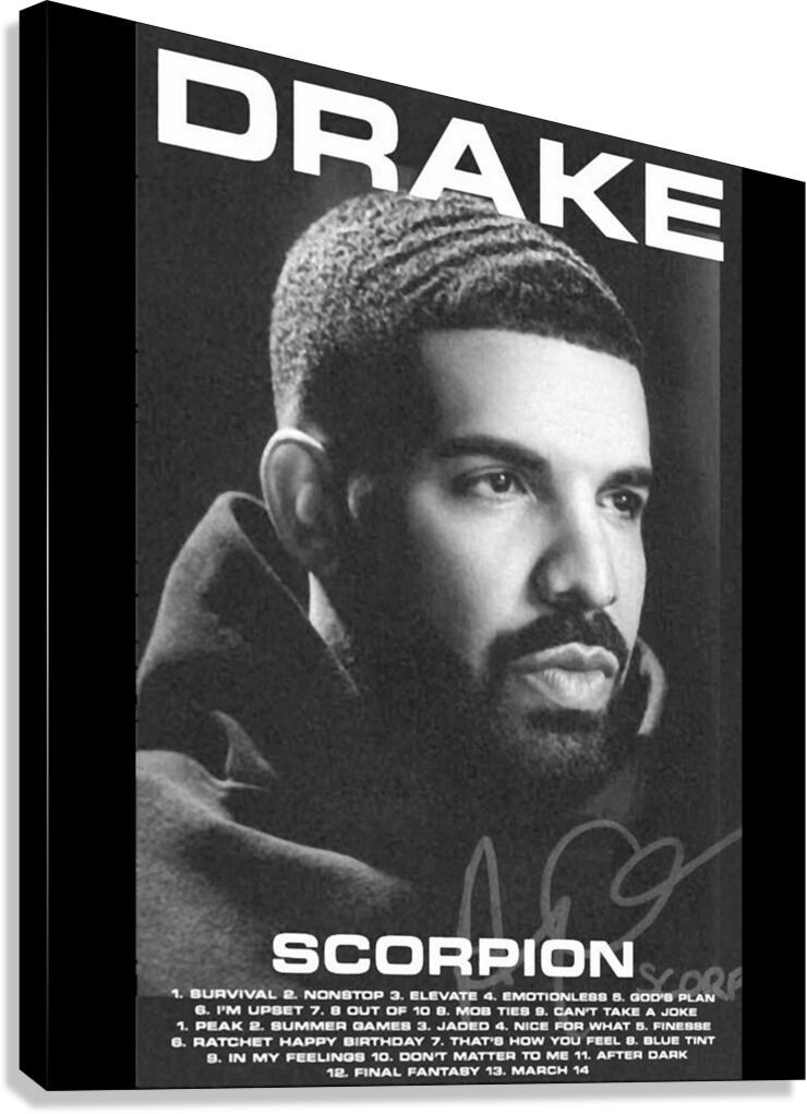 Drake 37 Canvas Print