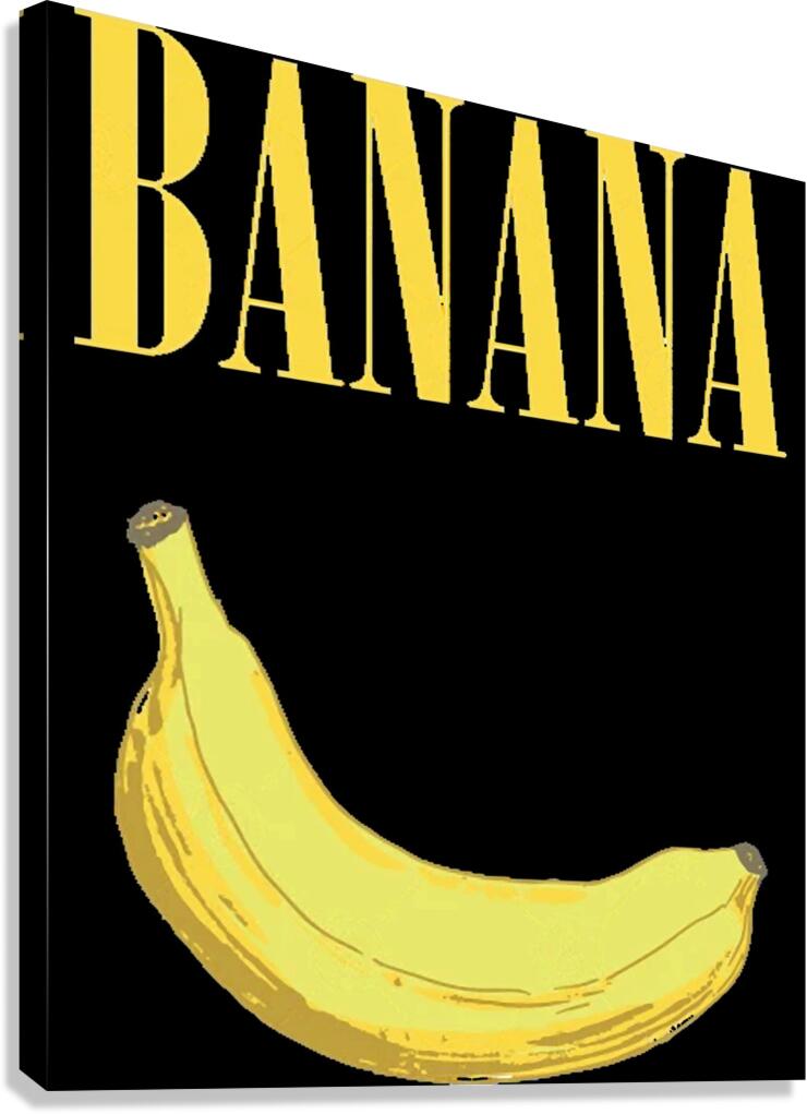 Nirvana 1 Canvas Print