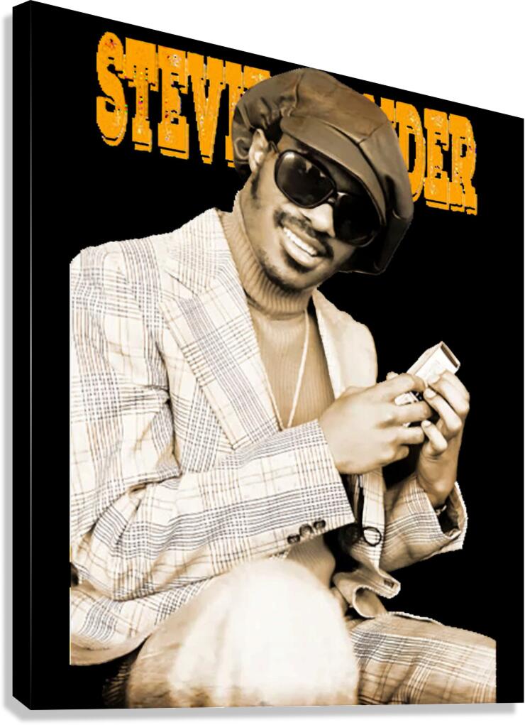 Stevie Wonder 32 Canvas Print