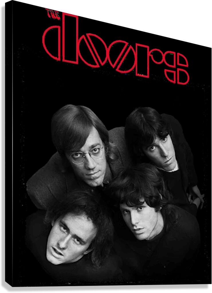 The Doors 2 Canvas Print