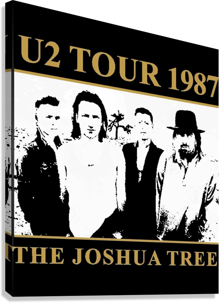 U2 21 Canvas Print