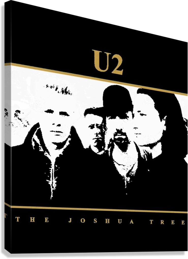 U2 27 Canvas Print
