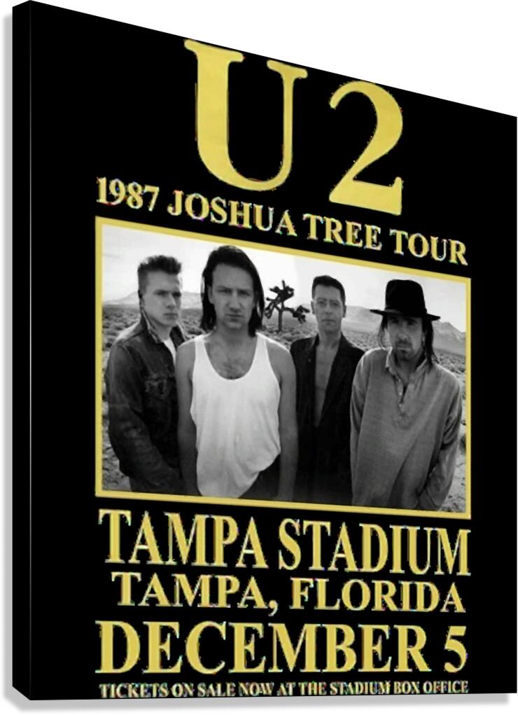 U2 11 Canvas Print