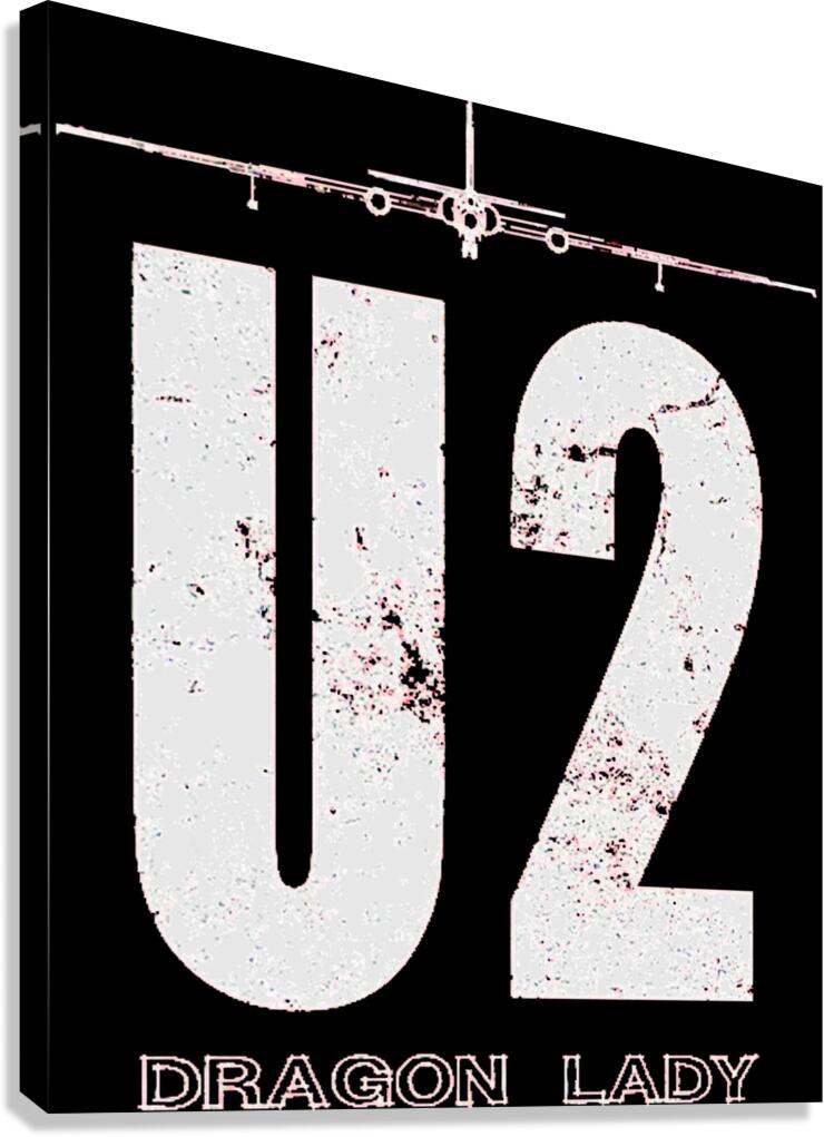 U2 12 Canvas Print