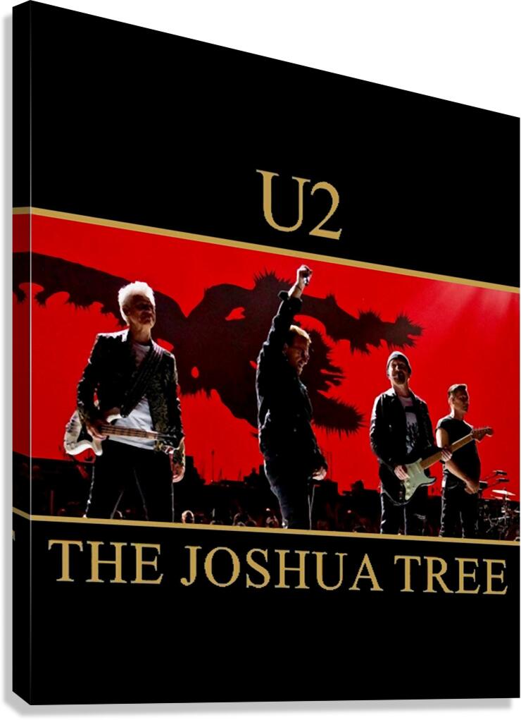 U2 15 Canvas Print