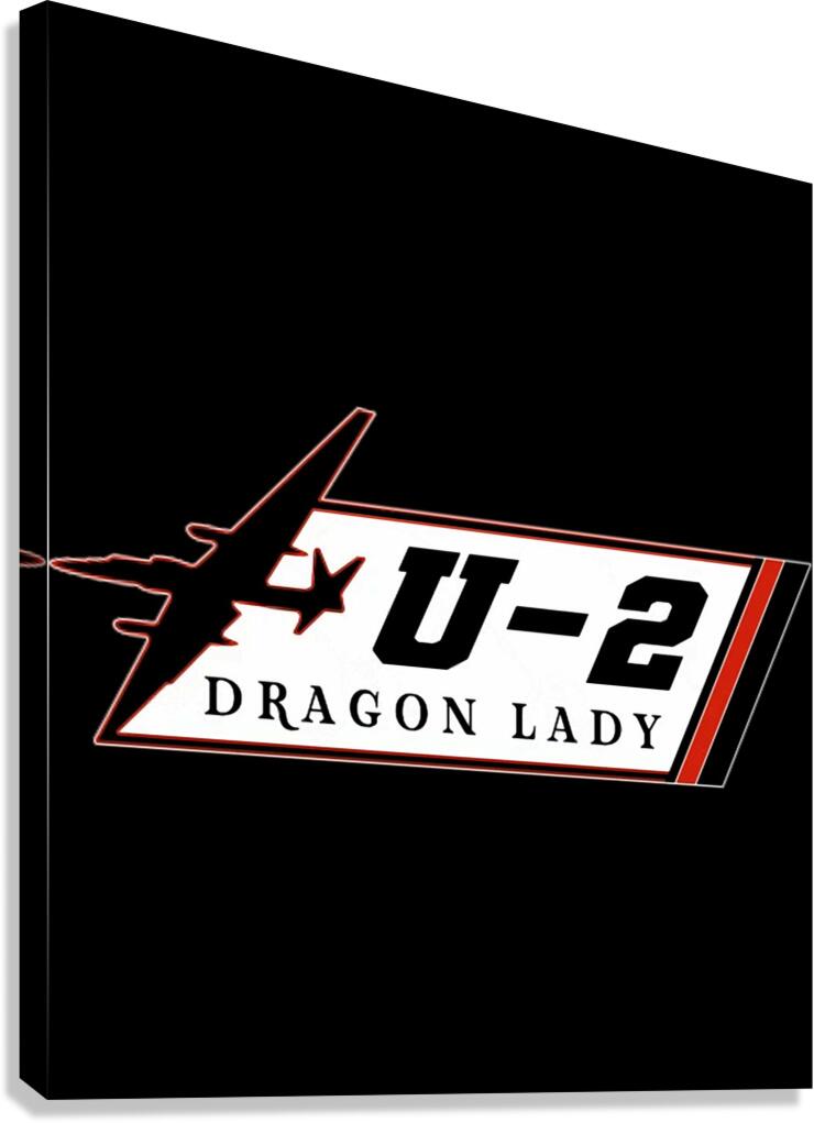 U2 22 Canvas Print