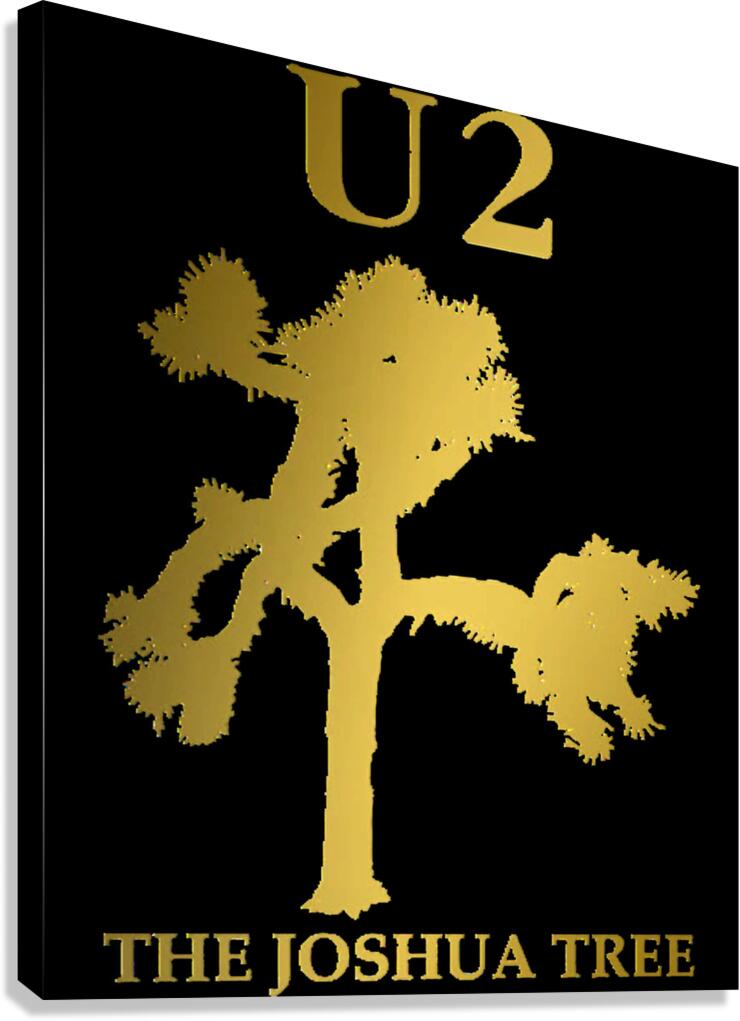 U2 43 Canvas Print