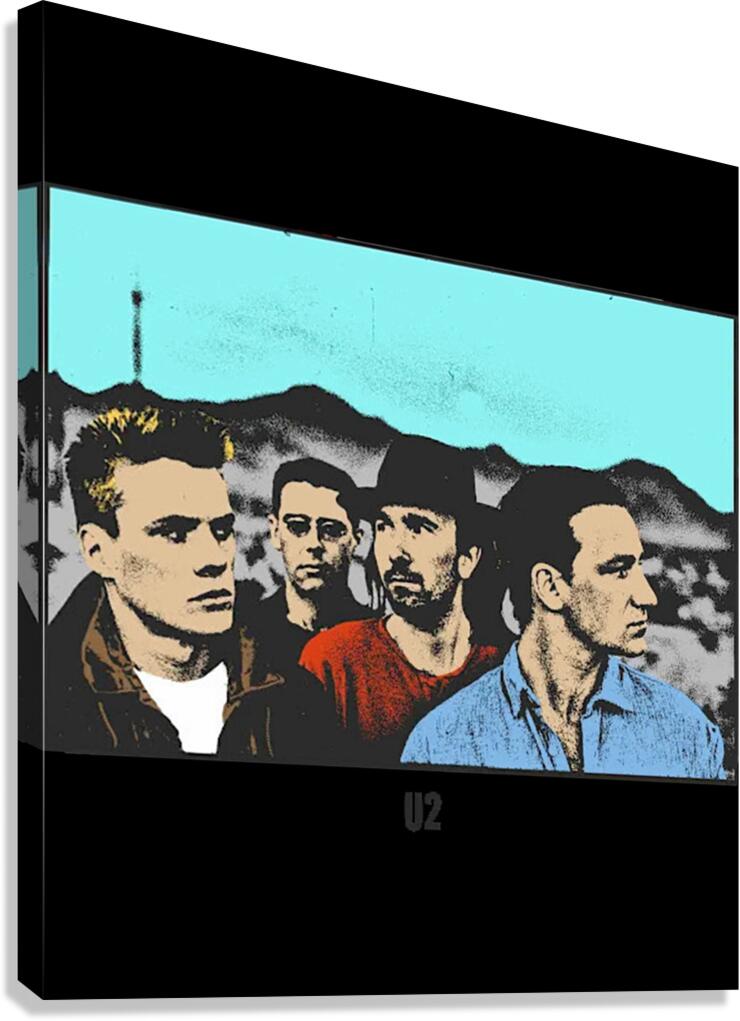 U2 46 Canvas Print
