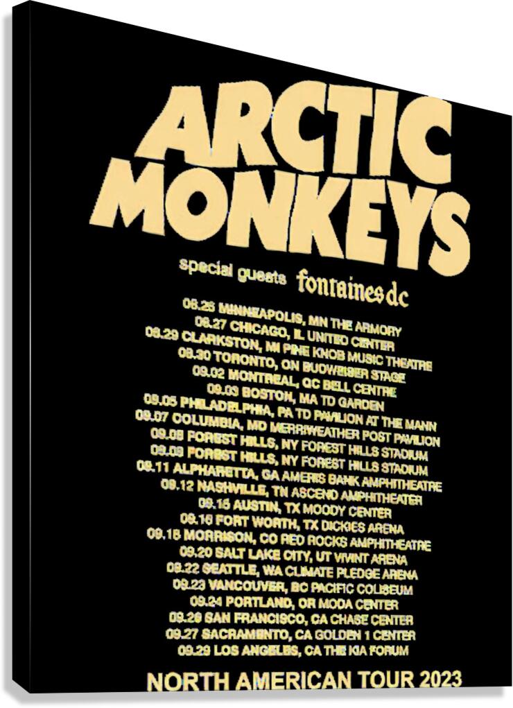 Arctic Monkeys 21 Canvas Print